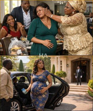 Billionaire Husband Gave Pregnant Wife A Bag Of Trash As Gift For Her Birthday After He Abandoned…