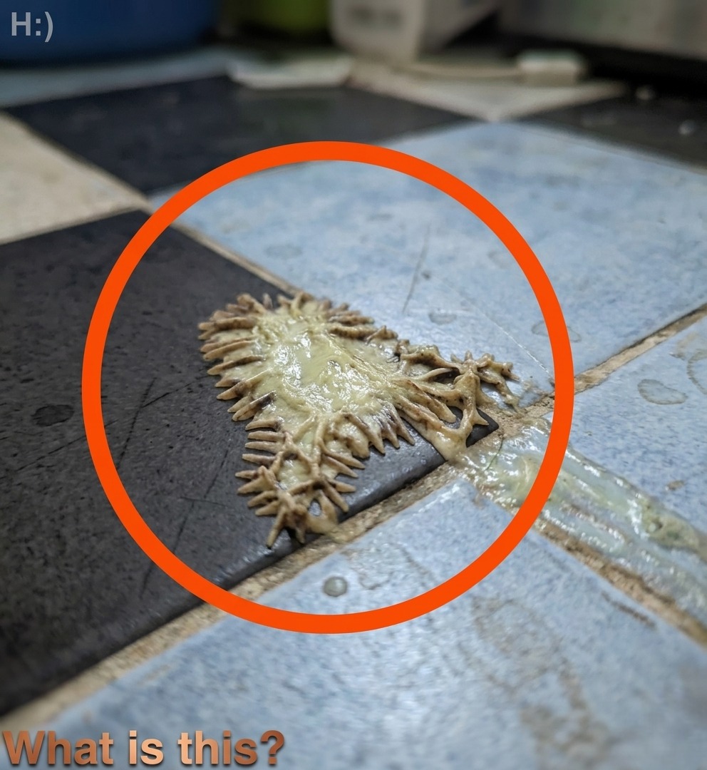 I Found This Mysterious Object in My Girlfriend’s Bathroom—We’ve Been Staring at It for an Hour and Still Can’t Figure Out What It Is, Turning a Simple Discovery Into a Confusing Mystery That Has Us Questioning Its Purpose, Origin, and Everyday Use While Searching for Answers That Keep Eluding Us